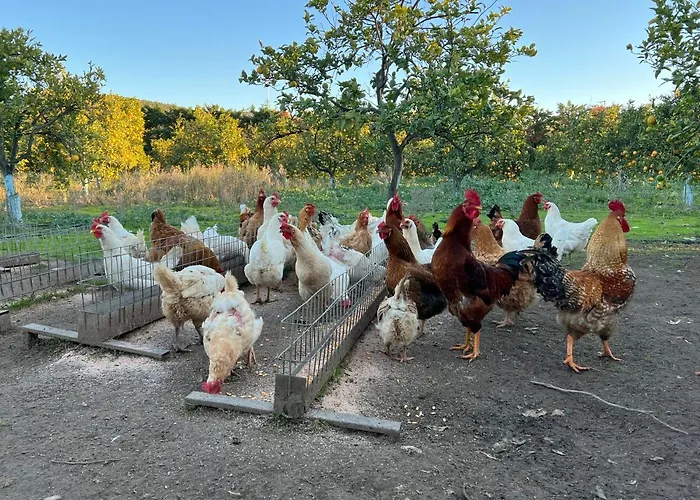 Aktaion Hotel Gythio