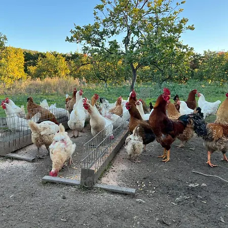 Aktaion Hotel Gythio