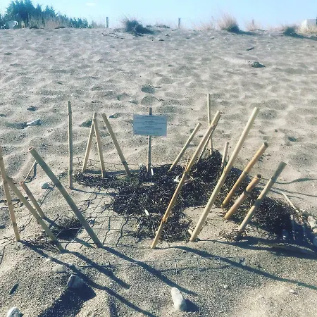 Aktaion Hotell Gytheio