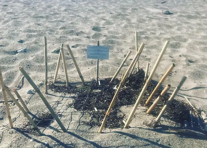 Aktaion Hotel Githio